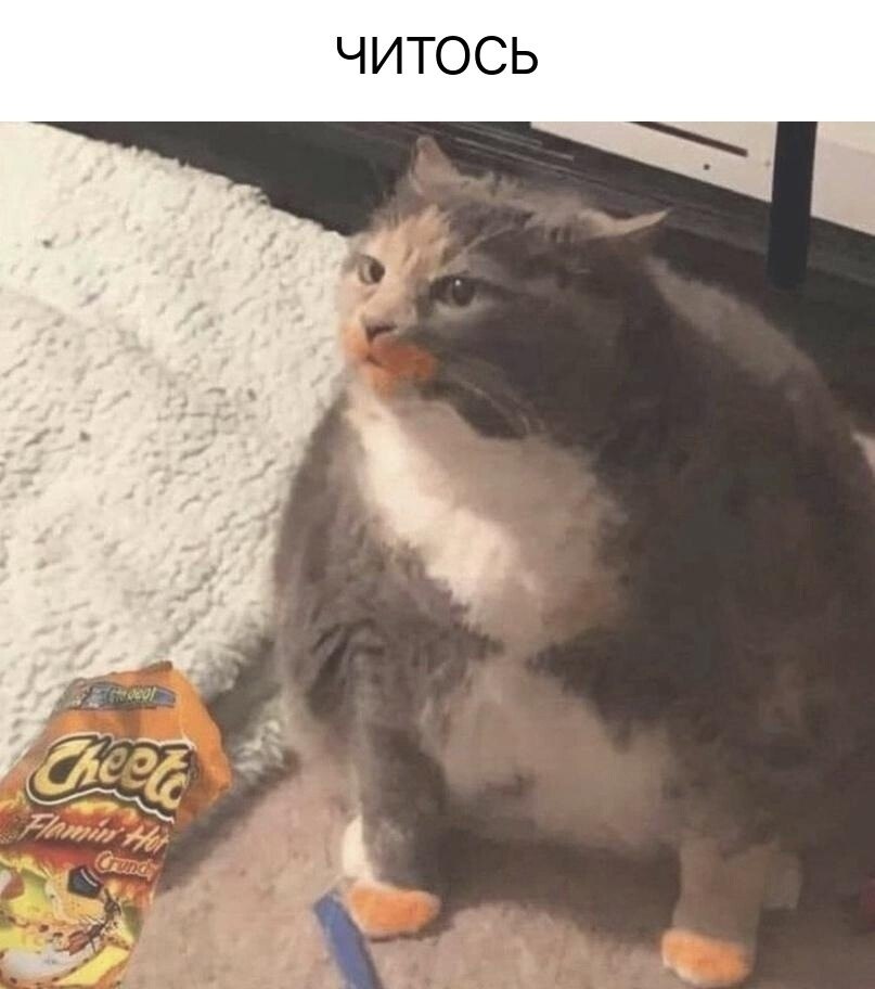    - 27  2024  22:40