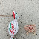 ���� ��������, ����, 44 ���� - ��������� 27 ������ 2026 � ������ �����