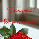 ���� �����, ������ - ��������� 8 ����� 2026 � ������ ������ ��������