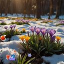 ���� ����, �������� - ��������� 7 ����� 2026 � ������ ������ ��������