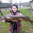 ���� �����, �����������, 36 ��� - ��������� 26 ����� 2024