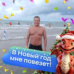 ���� �������, ����, 38 ��� - ��������� 7 �������� 2026