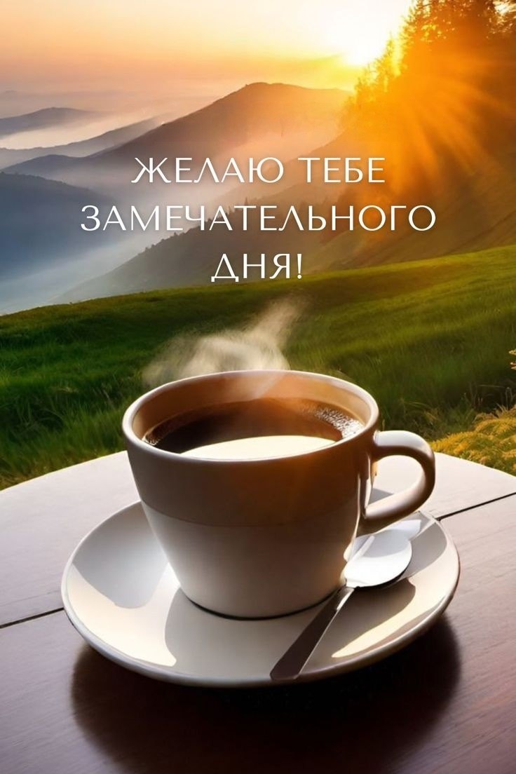 �������@ - 6 ��� 2026 � 00:15