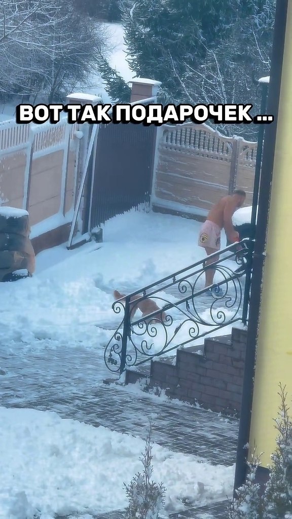 ��� ��� ���������