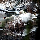 ���� Vidas, ��������, 64 ���� - ��������� 16 ������� 2025 � ������ ������ ��������