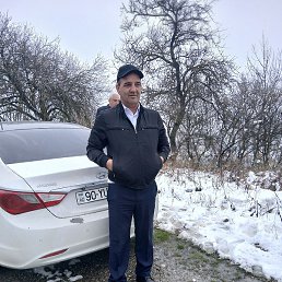 Zabil, ����, 51 ���
