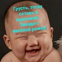���� ���������, �����, 66 ��� - ��������� 7 ������� 2026
