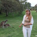 ���� ����, ������, 26 ��� - ��������� 14 ������� 2025 � ������ ���� ����������