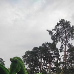 ������, ������, 60 ���