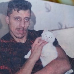 ������, 50 ���, ��������