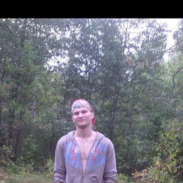 , 29, 
