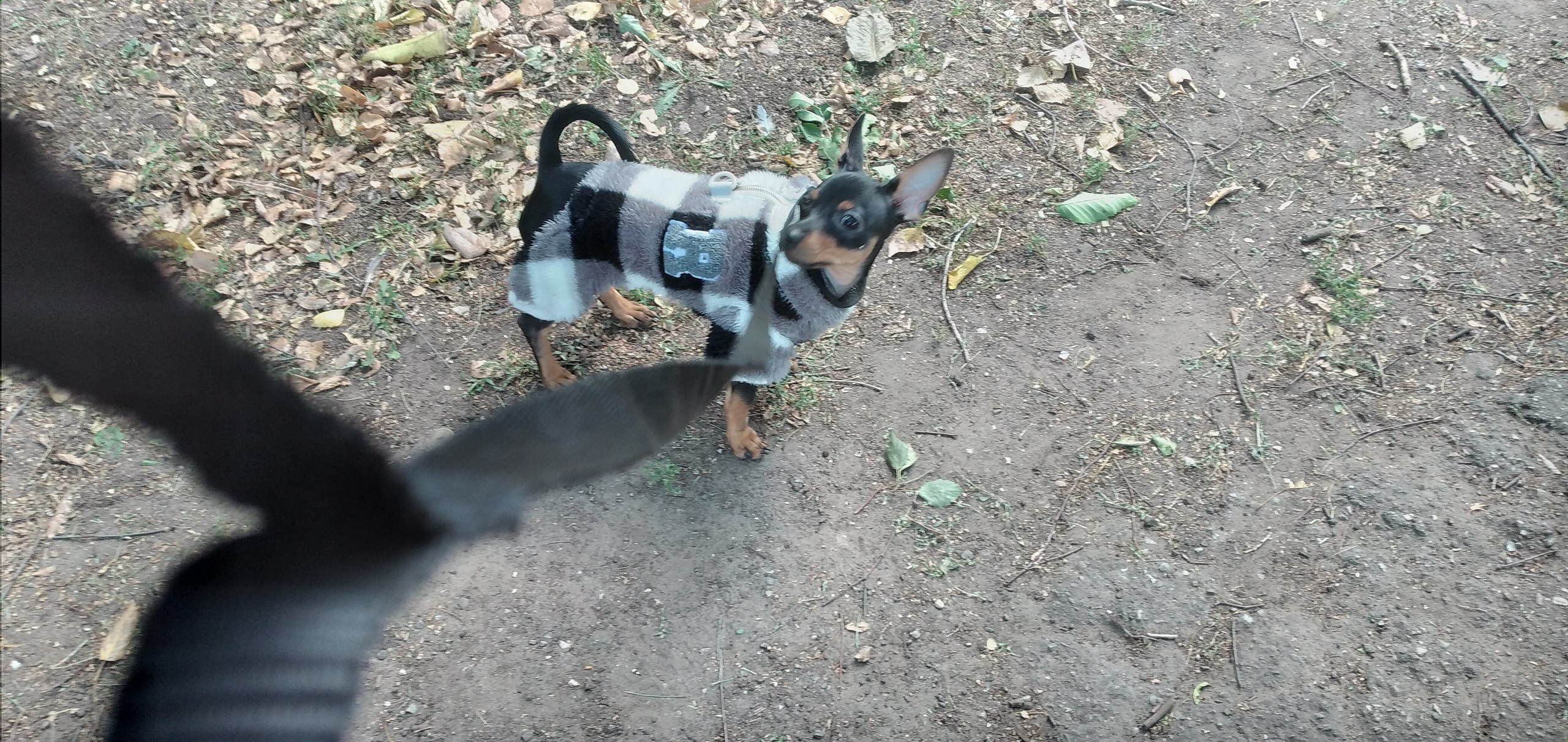 ��� - 14 ������ 2025 � 09:17