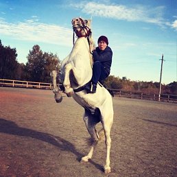 Bakhtiyar, �������, 33 ����