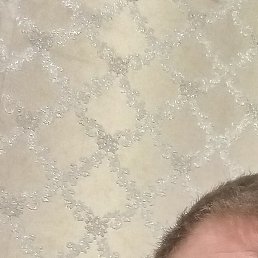 �������, ���������, 37 ���