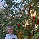 ���� ����, �������, 64 ���� - ��������� 22 ������ 2026 � ������ ���� ����������