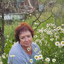 ���� �������, �����������, 66 ��� - ��������� 15 ���� 2025 � ������ ���� ����������