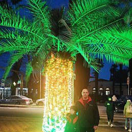 �������, ������, 43 ����