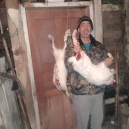 ��������, 52 ����, �����������