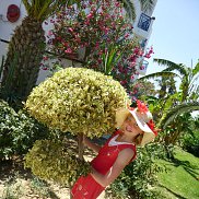 ����, 34 ����, �����������