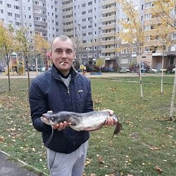 , 37,  