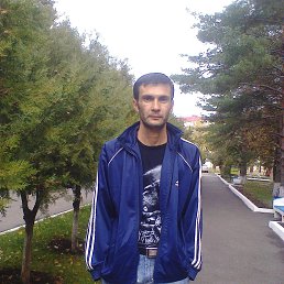 , 41, 