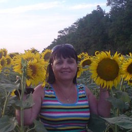 �������, �������, 59 ���