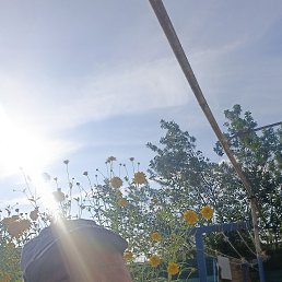 , 41, 