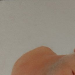 �������, ����������, 48 ���