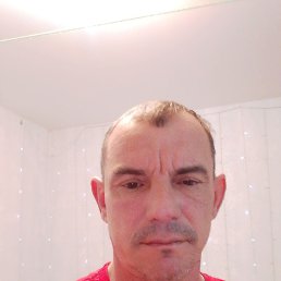 , 44, 