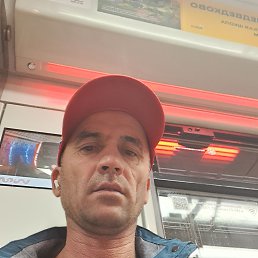 , 41 , 