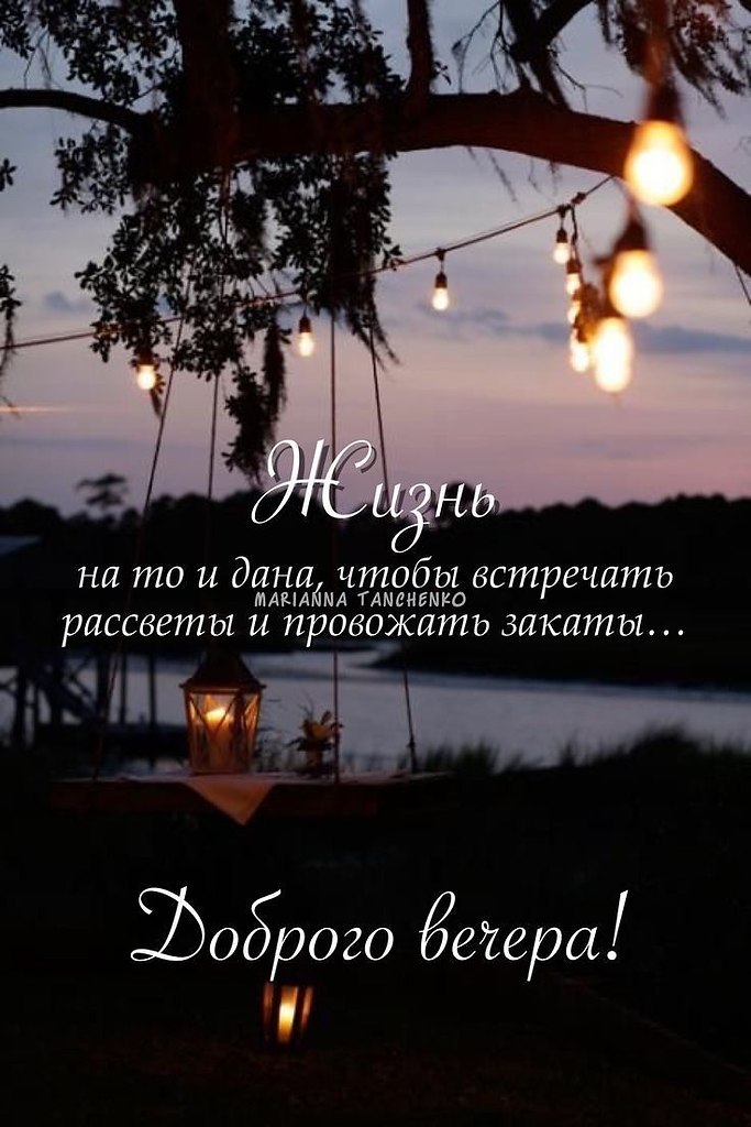 �������� ������ - 23 ������ 2026 � 17:31