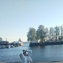 ���� ���������, �����-���������, 23 ���� - ��������� 29 ����� 2026 � ������ ���� ����������