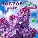 ���� �������, ������ - ��������� 1 ��� 2026 � ������ ������ ��������
