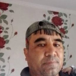 , 48, 