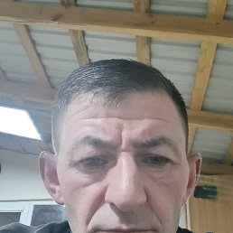 , 37, 