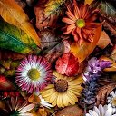 ���� ��������, ������, 62 ���� - ��������� 3 ������ 2023 � ������ ���� ����������