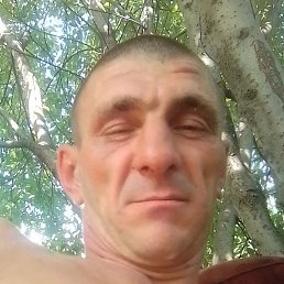 �����, ������������, 40 ���