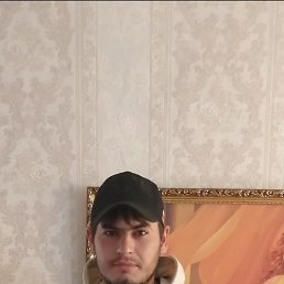 , 29, 