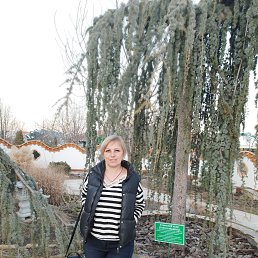  , --, 53  -  13  2025