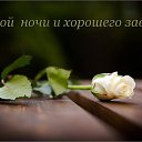 ���� �����, ������ - ��������� 16 ������� 2026 � ������ ������ ��������