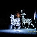 1 ������ 2026 �� ������� ���� ����������