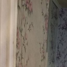 ��������, ������, 43 ����