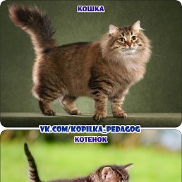 �����, ������, 23 ����