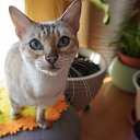 ���� Uegenia, ʸ���, 65 ��� - ��������� 6 ������� 2025 � ������ ������ ��������