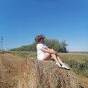 ���� ����������, �������, 41 ��� - ��������� 27 ������� 2023 � ������ ���� ����������