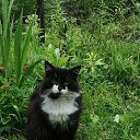 ���� ����, ���������, 50 ��� - ��������� 18 ��� 2024 � ������ ���� ����������