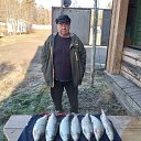 ���� �������, ������, 68 ��� - ��������� 15 ������ 2024 � ������ ���� ����������