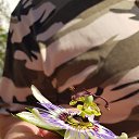 ���� ����, ������, 55 ��� - ��������� 15 ������� 2026 � ������ ���� ����������