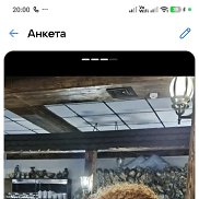 �������, 46 ���, ���������