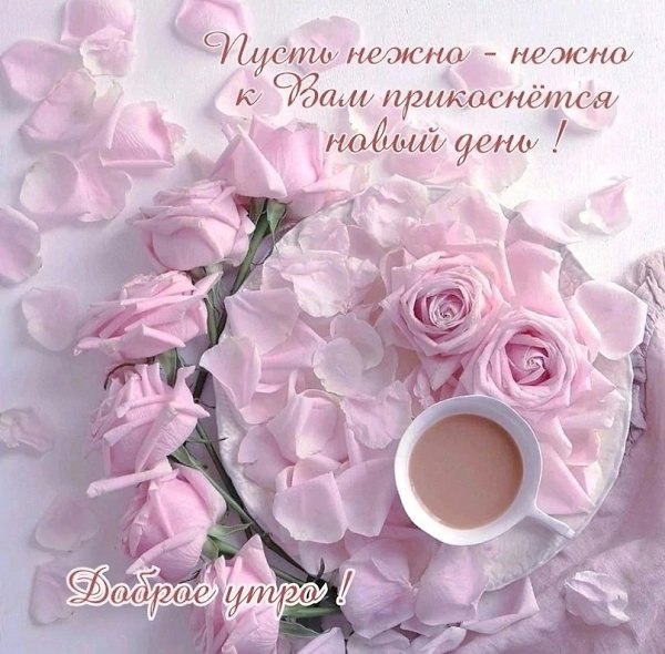 ����� �������� - 11 ����� 2025 � 11:03